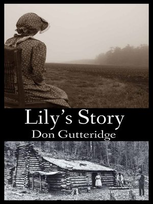cover image of Lily's Story